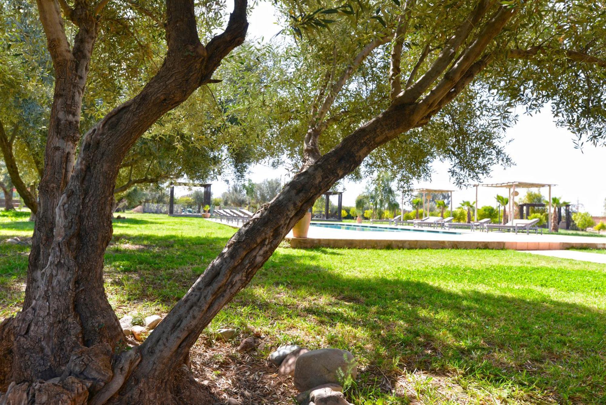 Villa Agora, Villa A La Campagne Proche Marrakech Sidi Abdallah Ghiat Kültér fotó